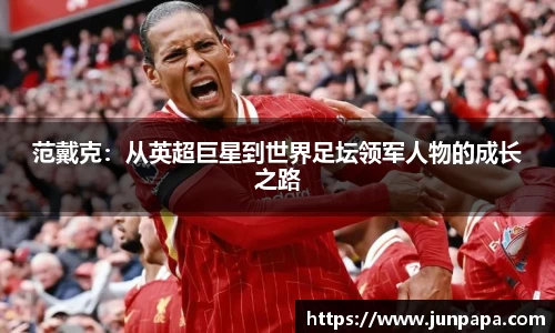 范戴克：从英超巨星到世界足坛领军人物的成长之路